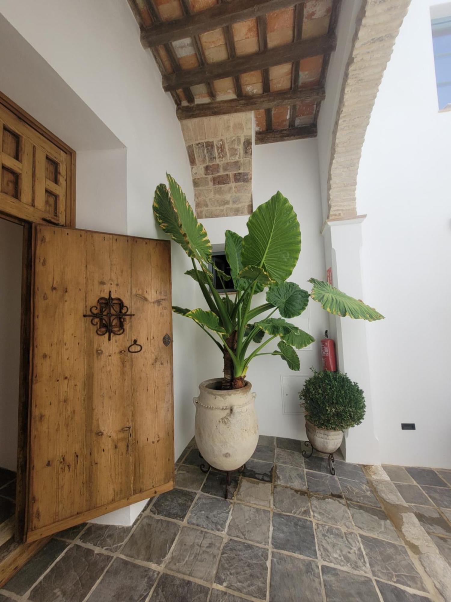 Casa Del Museo - Agua Apartamento Medina-Sidonia Exterior foto